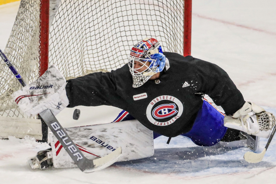 L&rsquo;ex-gardien des Canadiens Michael McNiven tire sa révérence  à 27 ans